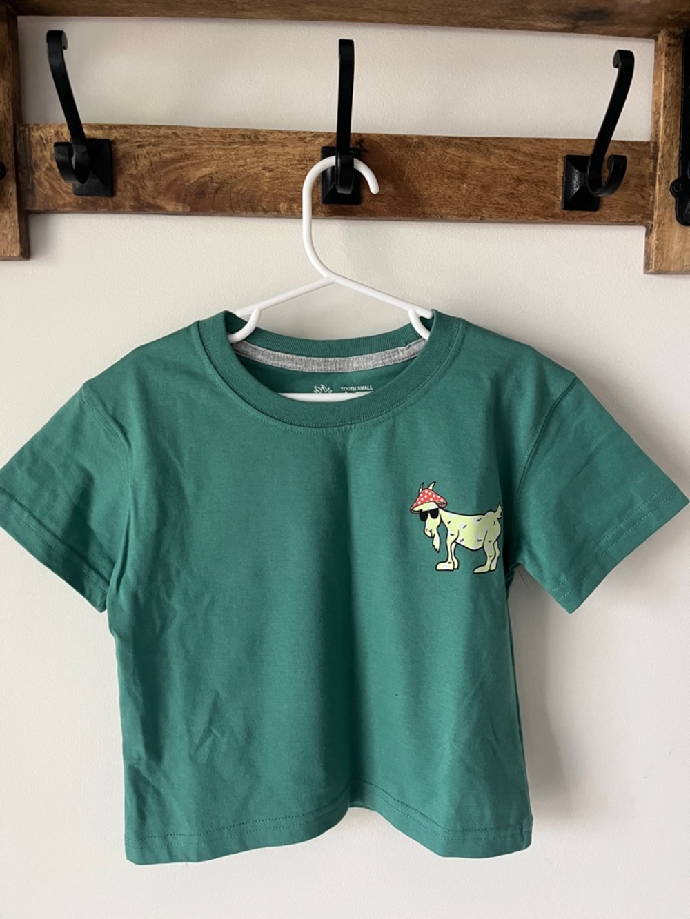GOAT USA Kids Graphic Tee Mushroom Goat Green Youth Small YS NWT - Picture 3 of 11